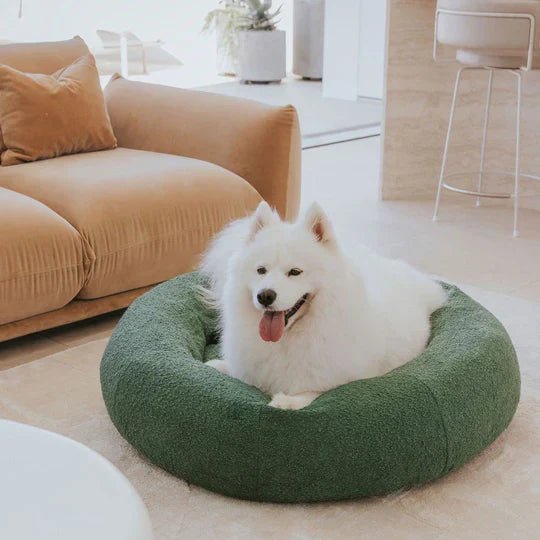 Luxury Boucle Dog Bed - Image 14