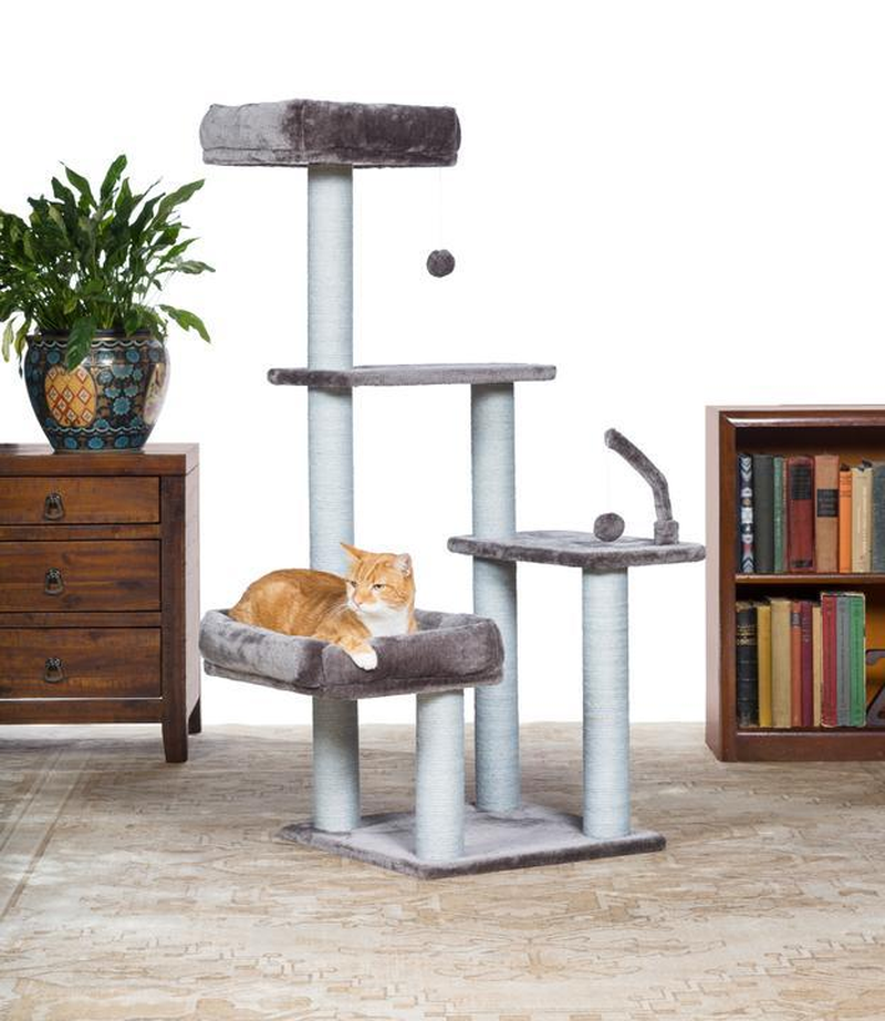 Prevue Pet Kitty Power Paws the Ritz - Image 6