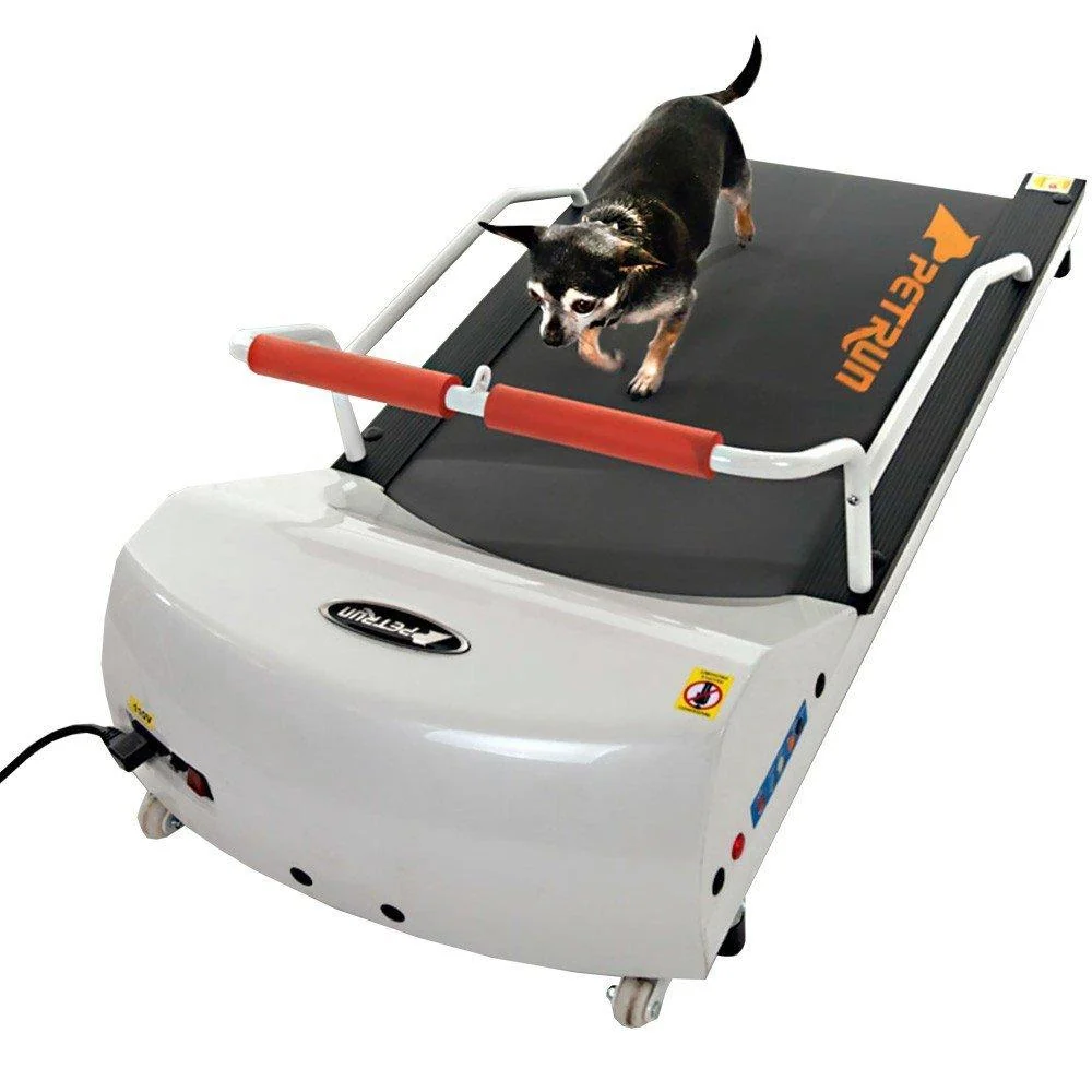 Petrun PR700 Pet Treadmill- Exercise Treadmill for Small Dogs and Cats up to 44 Lbs