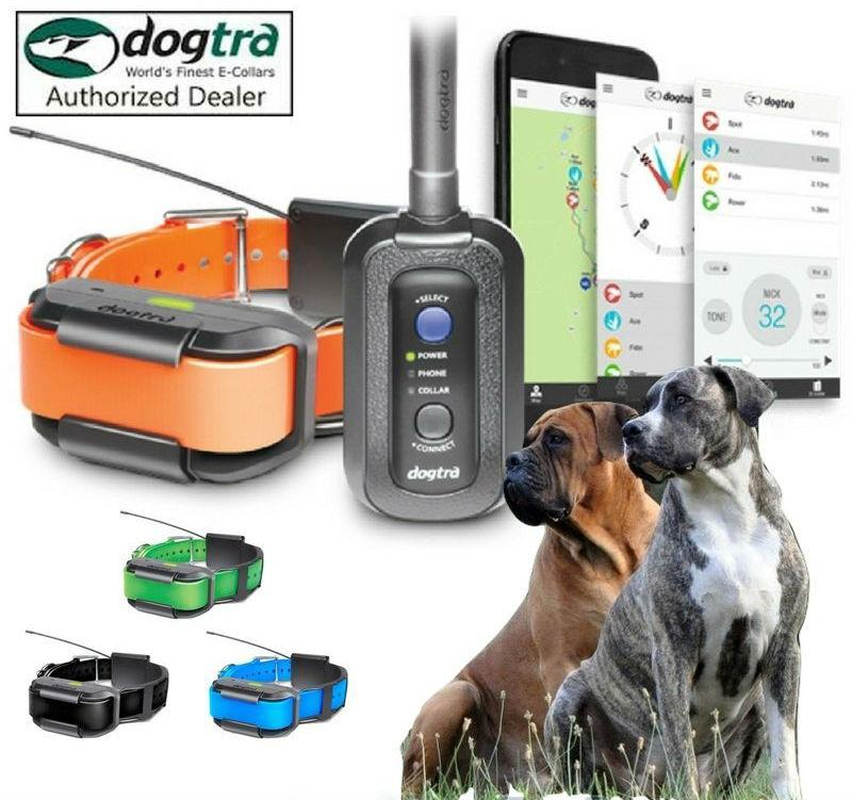 Pathfinder TRX GPS Tracking System ONLY- 1 Dog - Image 7