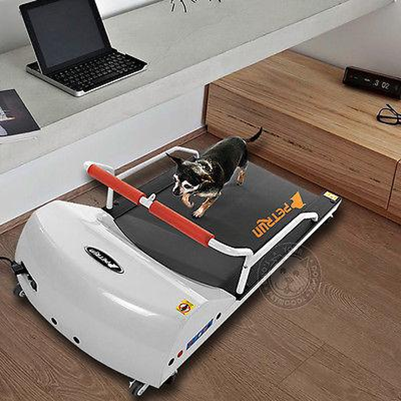 Petrun PR700 Pet Treadmill- Exercise Treadmill for Small Dogs and Cats up to 44 Lbs - Image 3